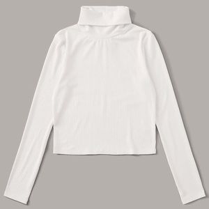 turtle neck rib neck